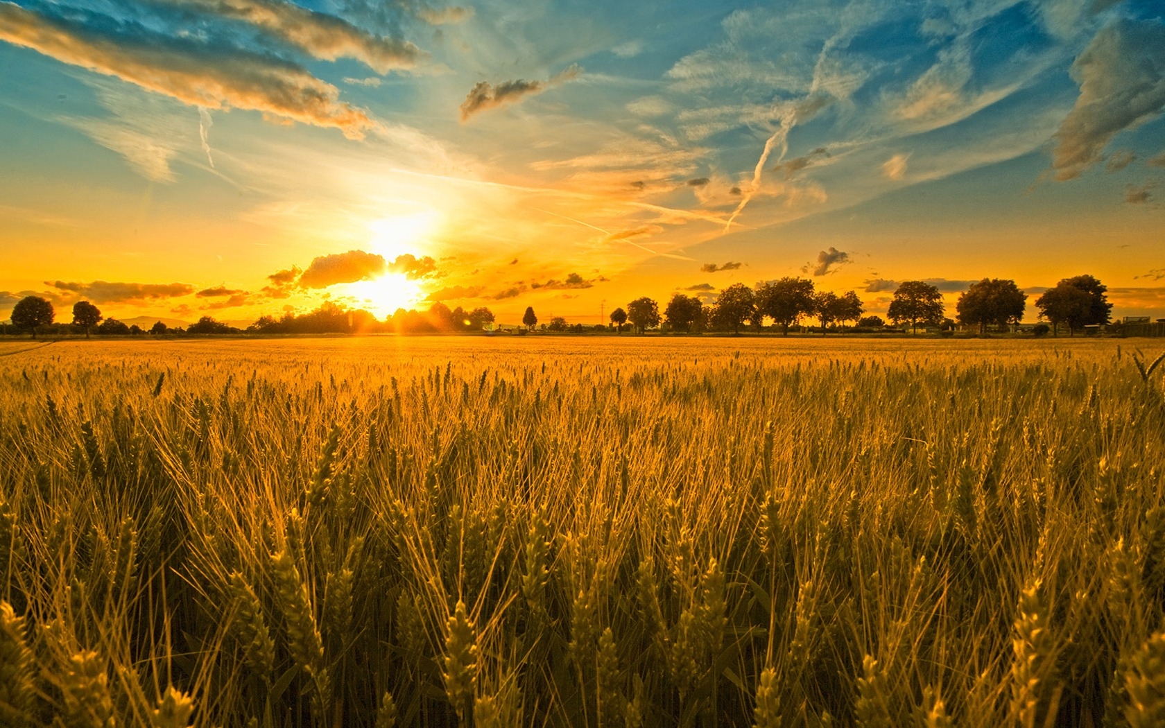 Waiting-for-a-harvest.jpg