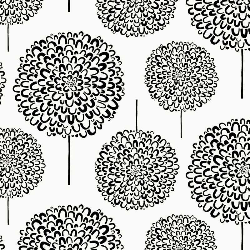 4-Hydrangea-blk.jpg