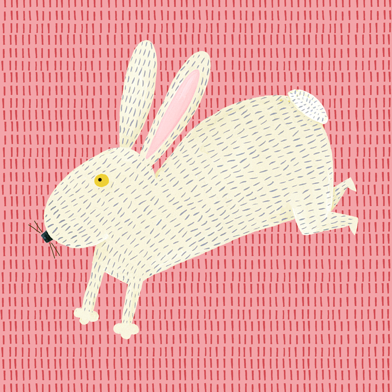 4-rabbit.jpg