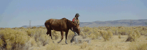 5adffcf4eb20c180245192.gif