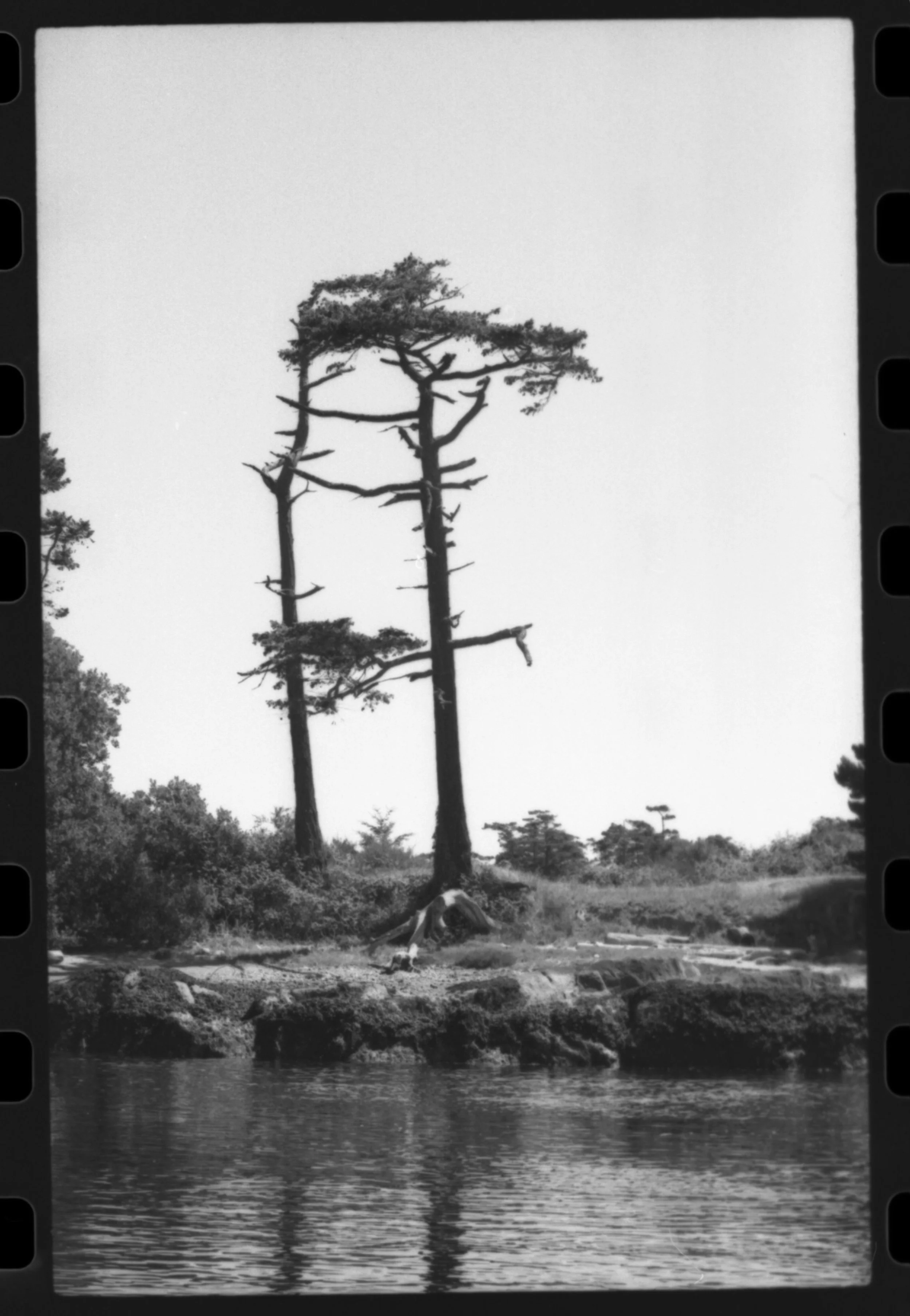 hp5 400_003.jpg