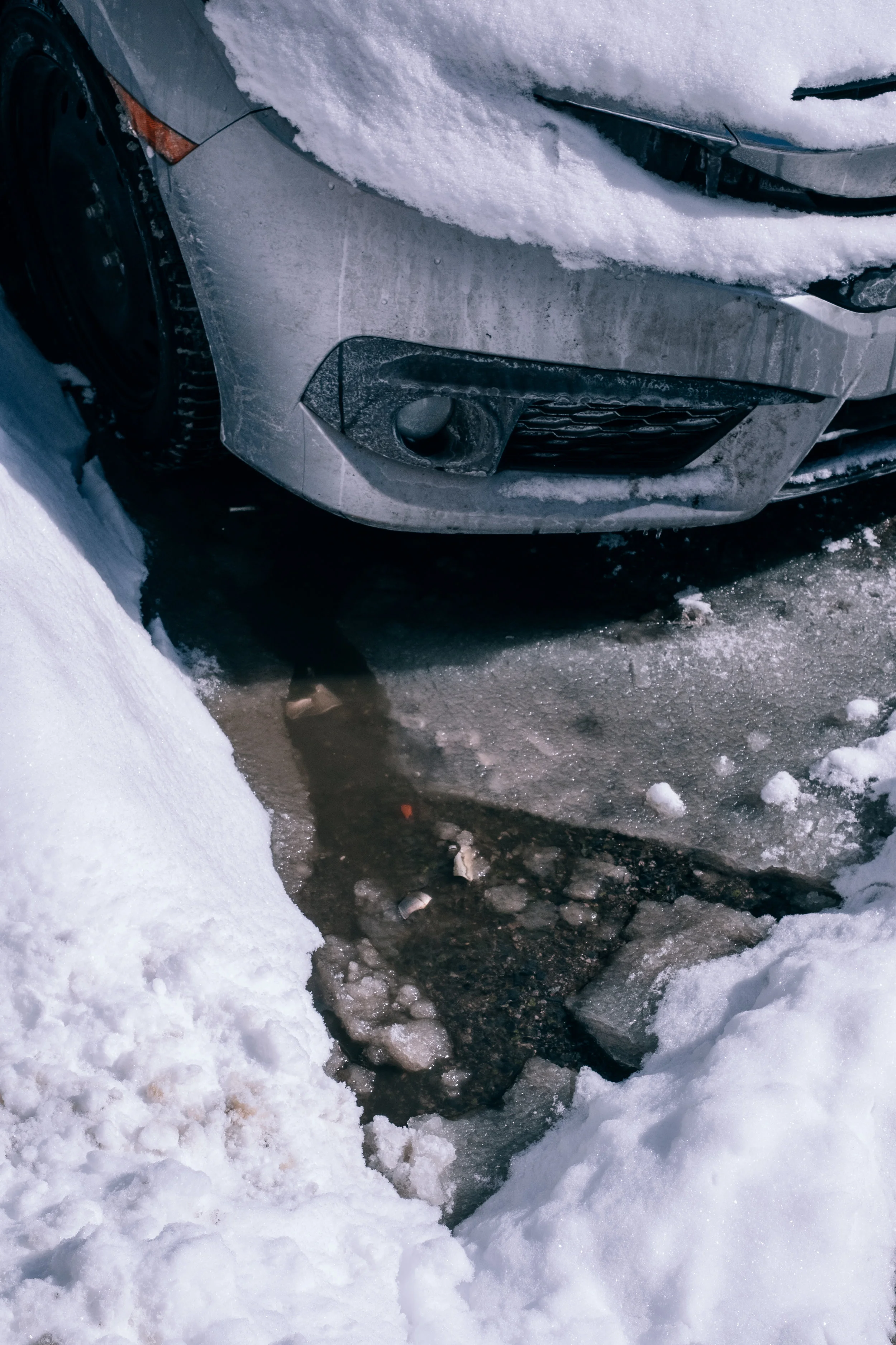 Fuji_X-H1_TO_Feb182019-22.jpg