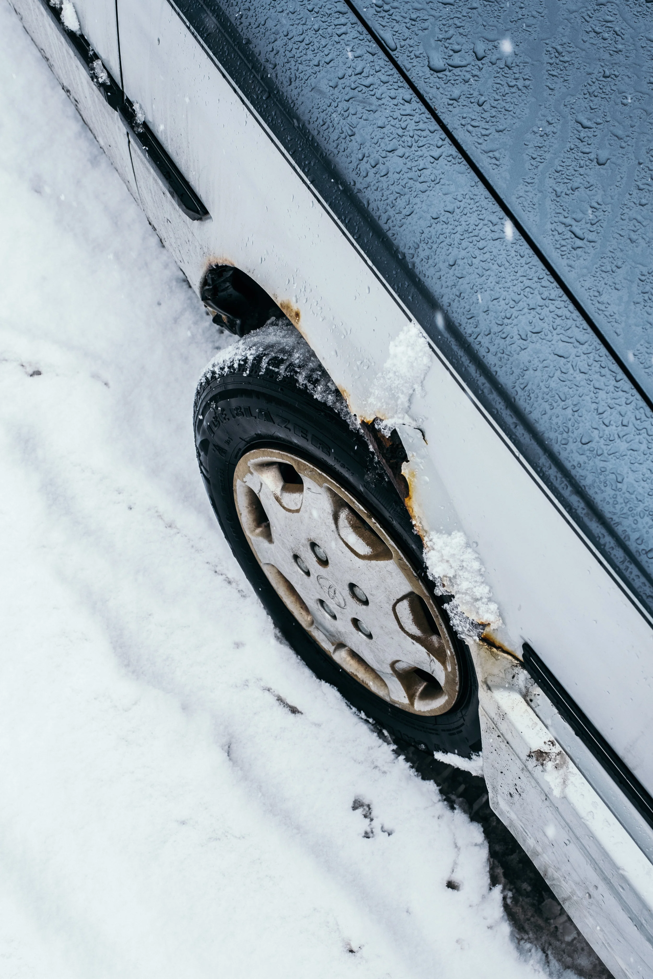 march2_2019-90.jpg