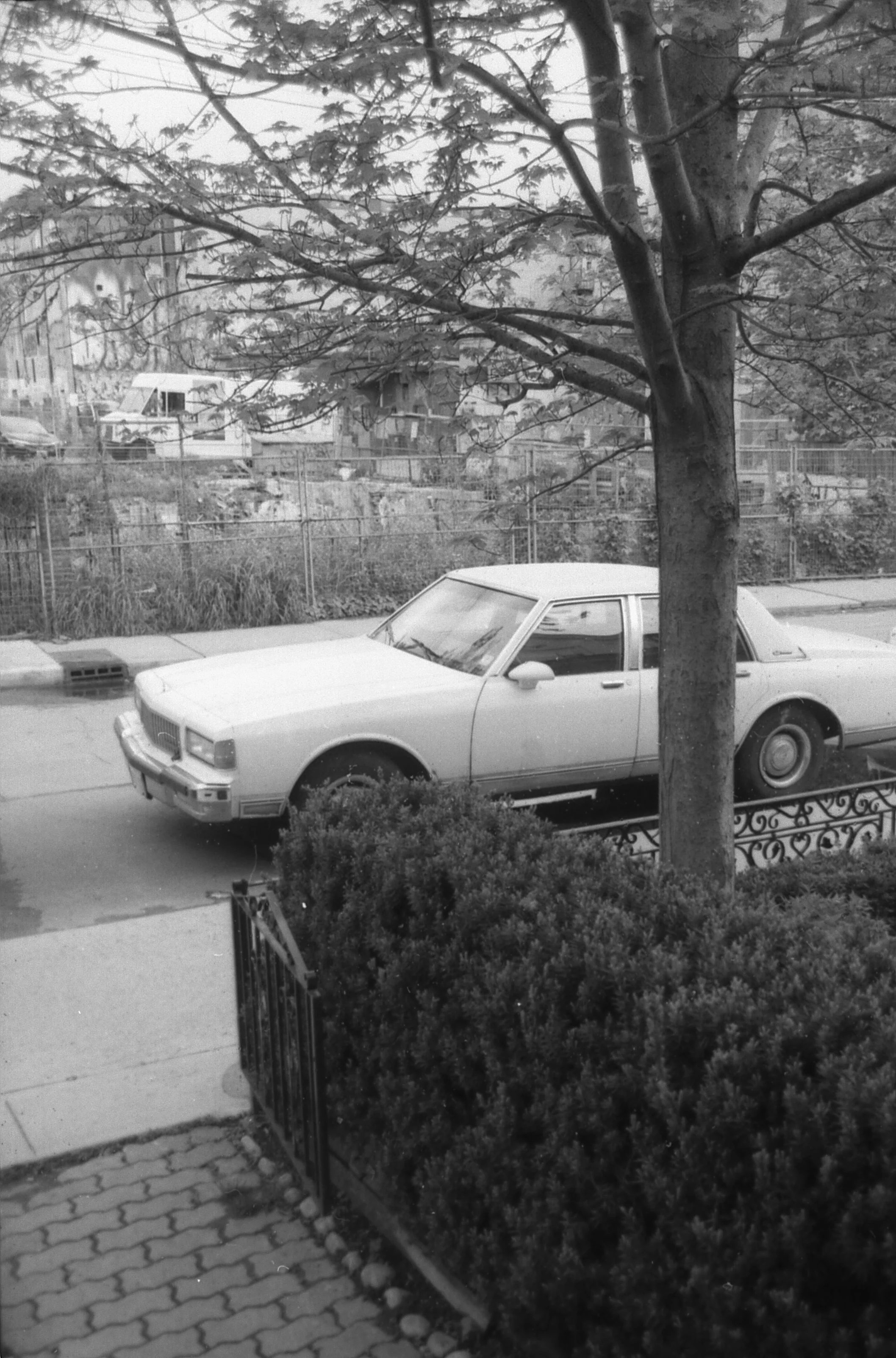 hp5010.jpg