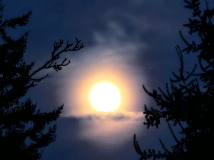 Full moon rising, clouds and trees- resize small - Feb. 2024.jpg