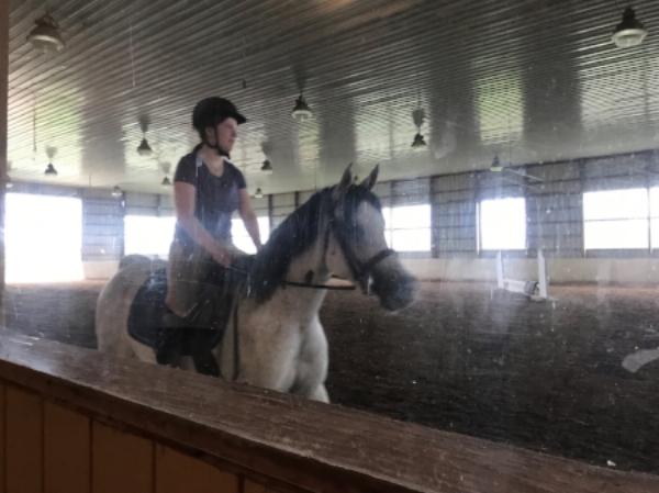 Photos courtesy of my friend and barn buddy, Spencer Wright 