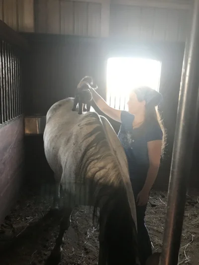 The new barn cat, Alice, learning to ride