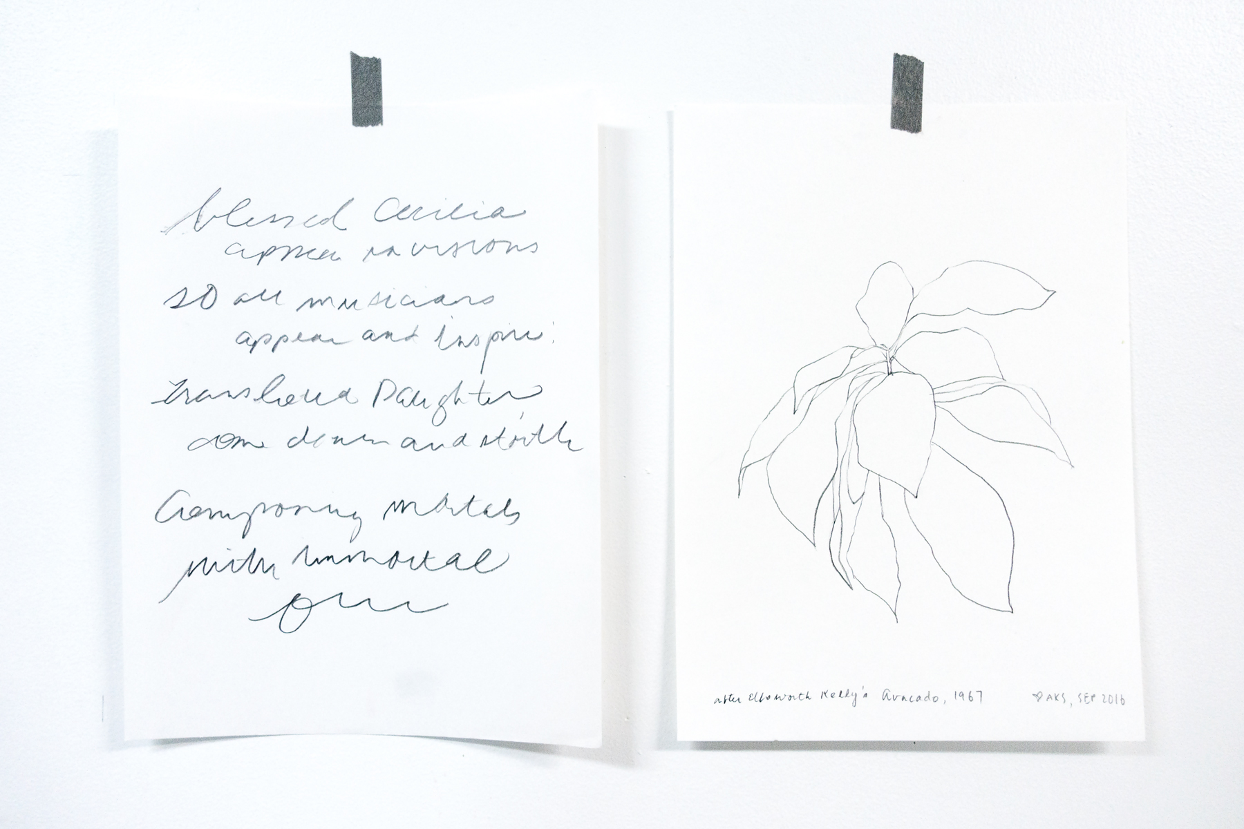 Drawing after Ellsworth Kelly's Avocado, 1967