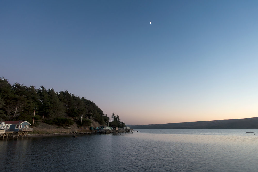 1st-qtr-moon-tomales-bay.jpg