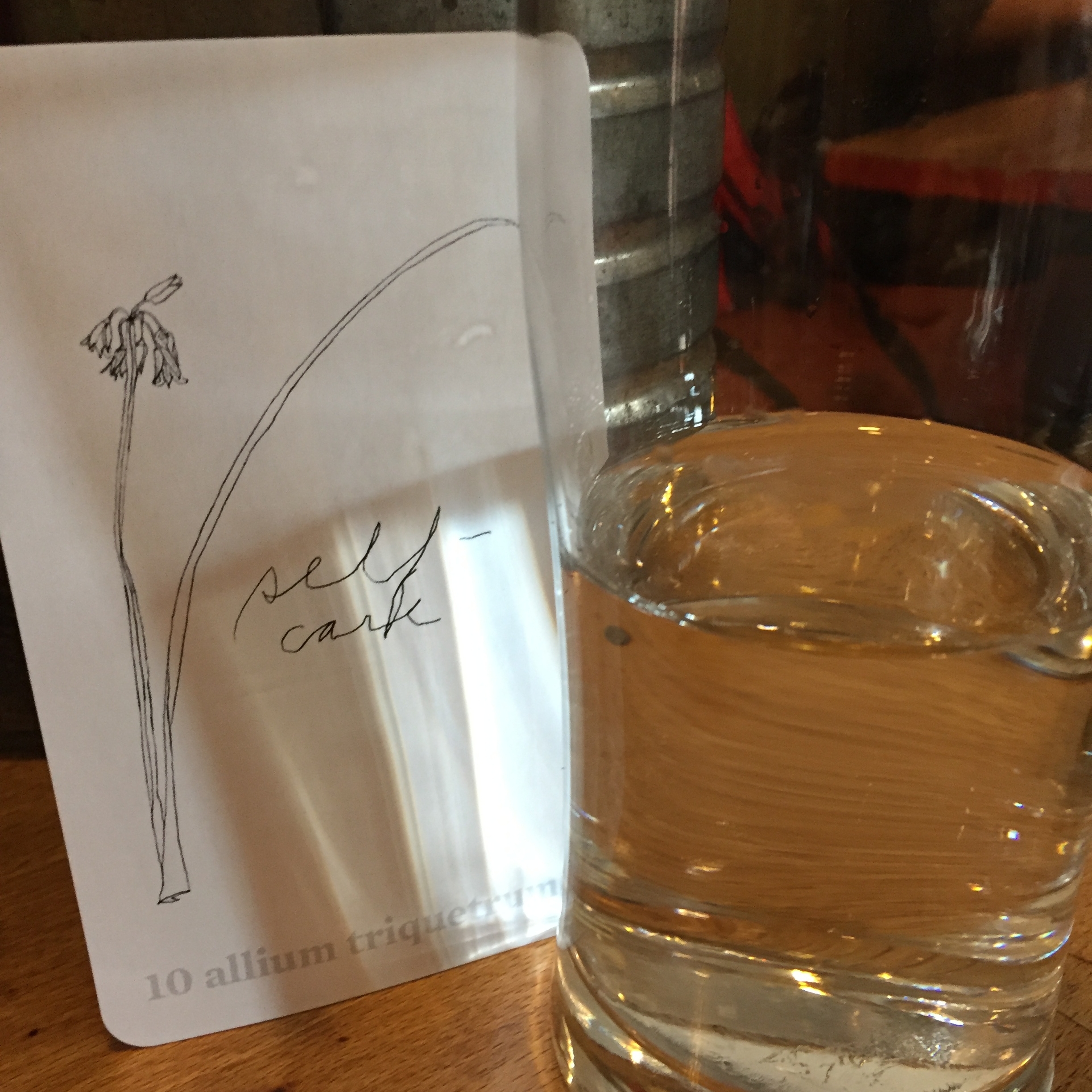 What can you do today to show yourself some love? What if water was a magical elixir that could heal whatever is ailing you? Imagine drinking more of this elixir today and see what you notice.