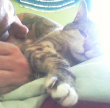 AR's gratitude story: Simplicity My cat recently was deathly ill and she is finally just recovering. But as she ages, I am appreciating spending time with her more and more. I know that there will be a day in the near future that I will have to say goodbye, so for now, I'm appreciating the simple things; watching her sleep, her purr, her attitude and sitting quietly with her...This is the first thing that came to mind for me with this card; the simplicity of companionship with my cat. 