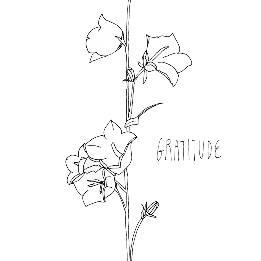 White Bellflower How do you currently give and receive gratitude in your life? What would you like to gain from a new personal or group gratitude ritual?