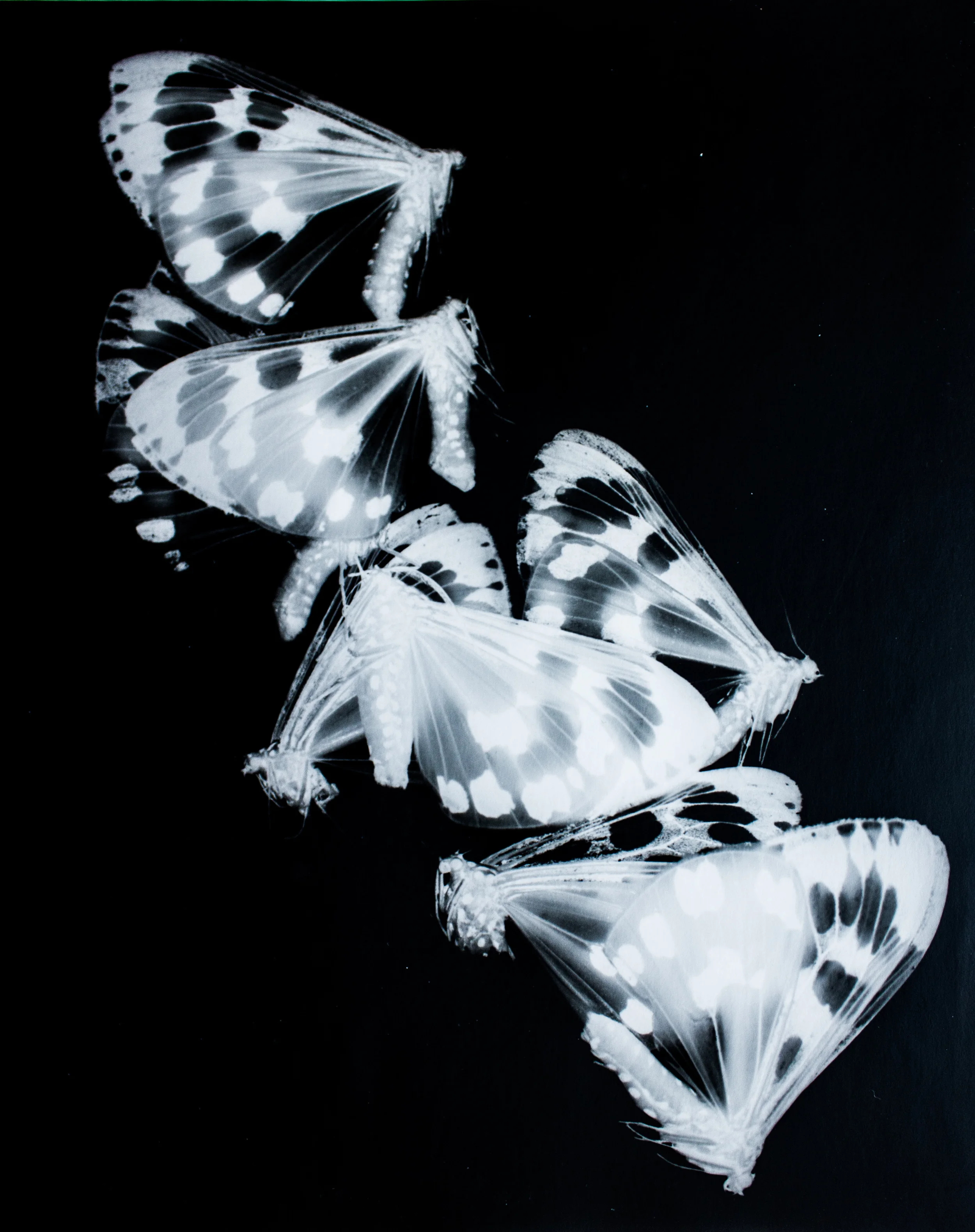 _MG_6875.jpg