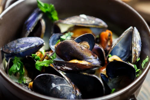 mussels.jpg