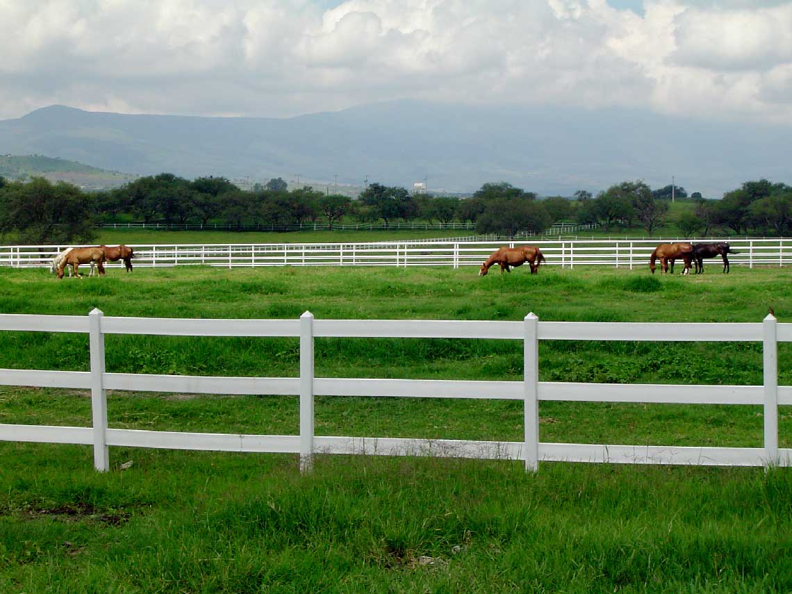 CORRAL_PLASTIMADERA_CORRALTECK-41.jpg