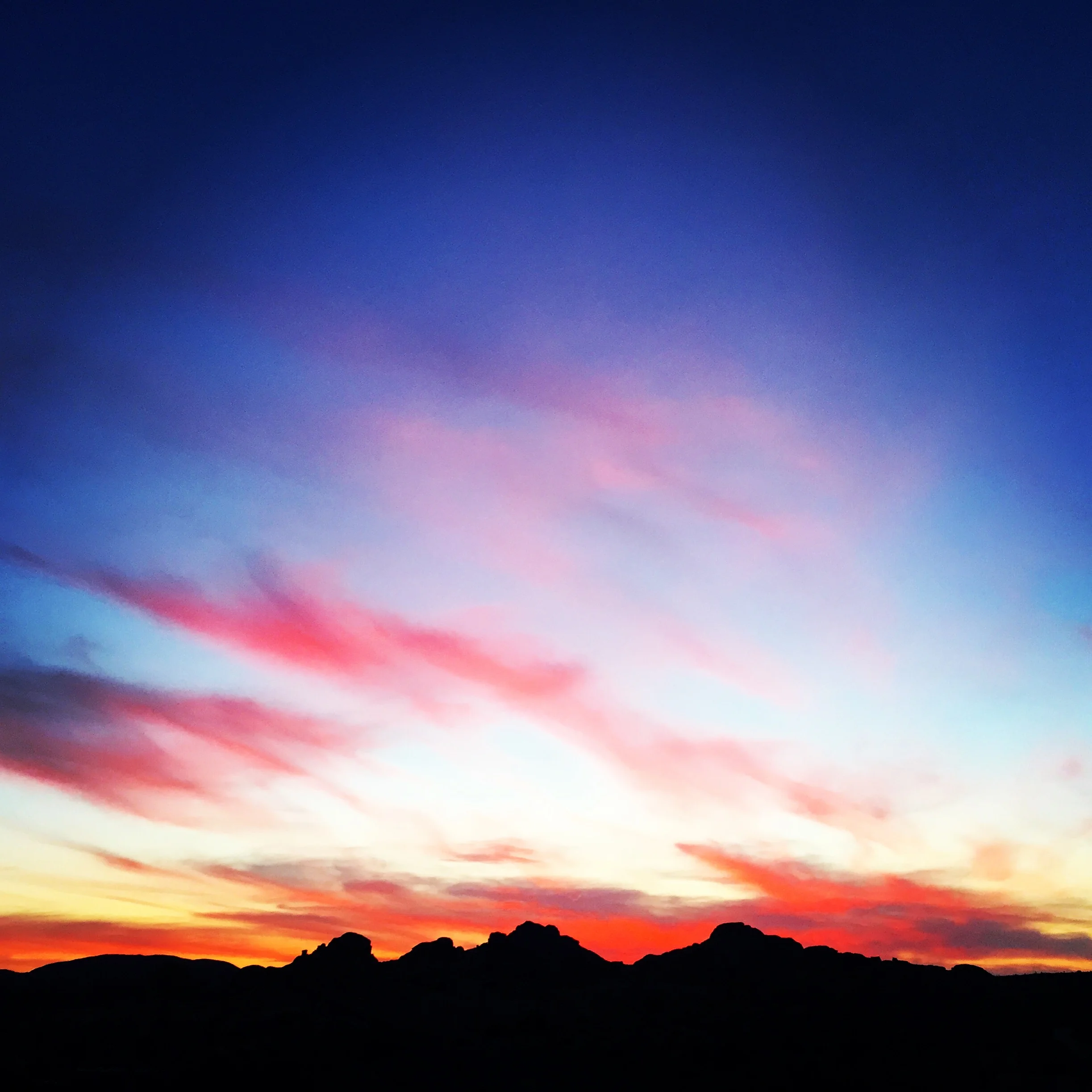 joshuatreesunset.JPG