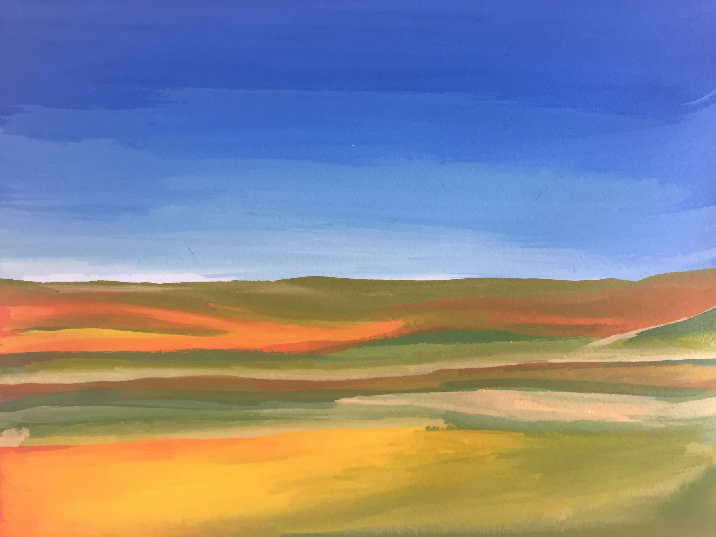 superbloom.JPG