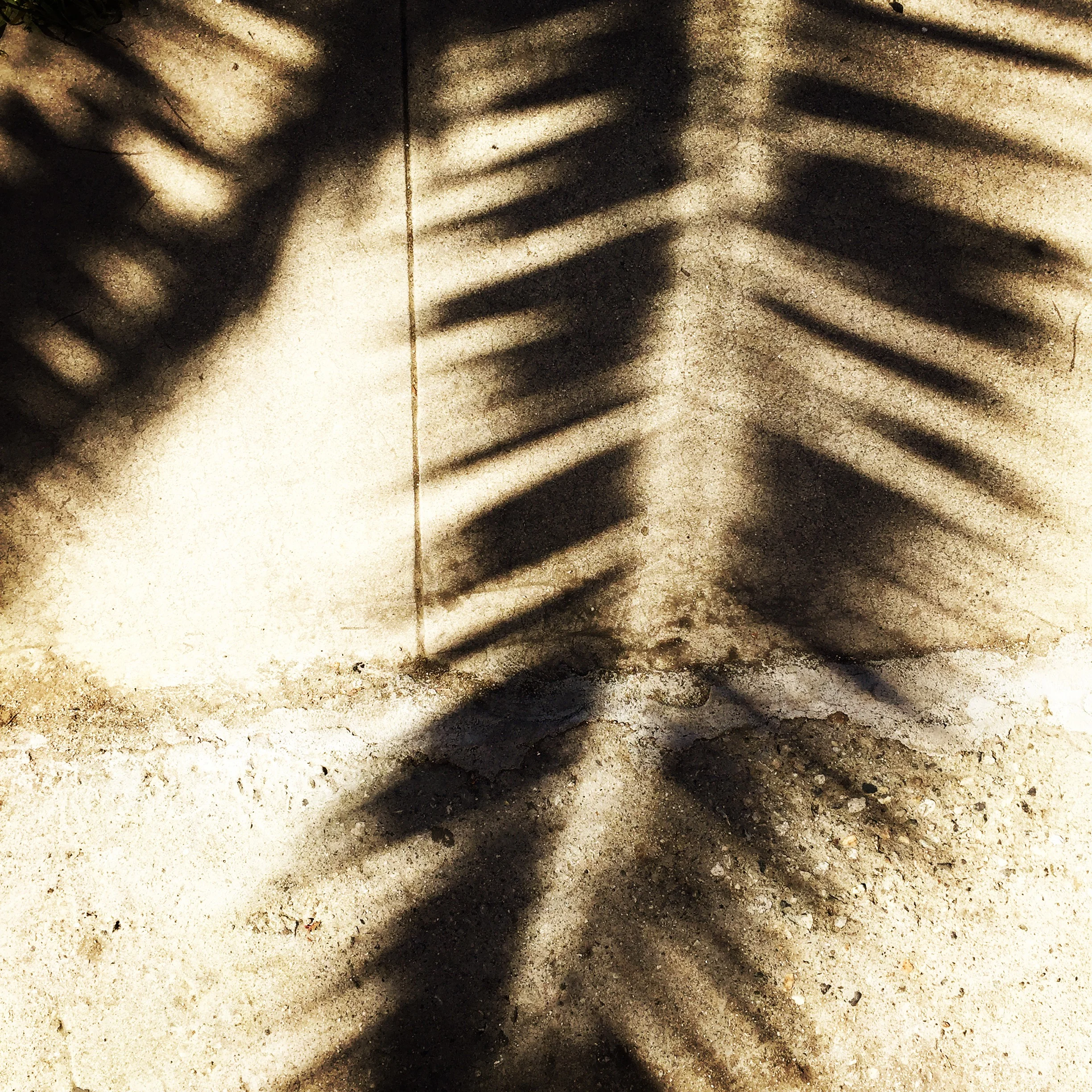 shadow.JPG