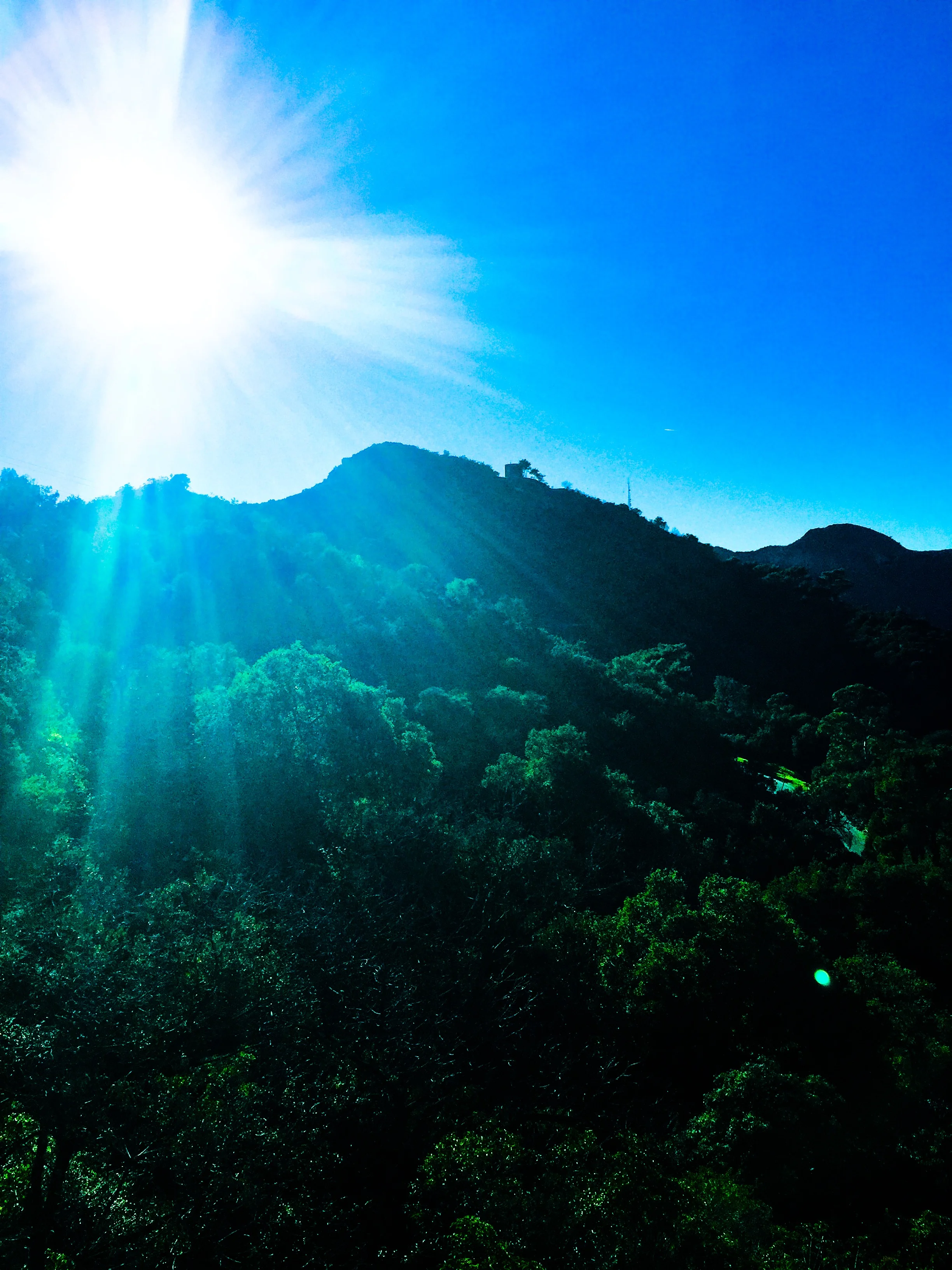 griffithpark_sun.JPG