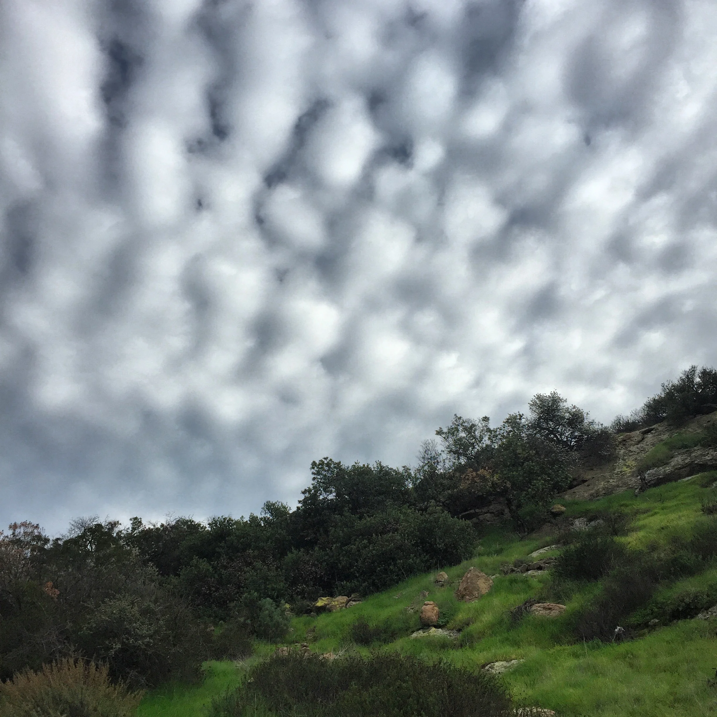 griffithpark_clouds.JPG