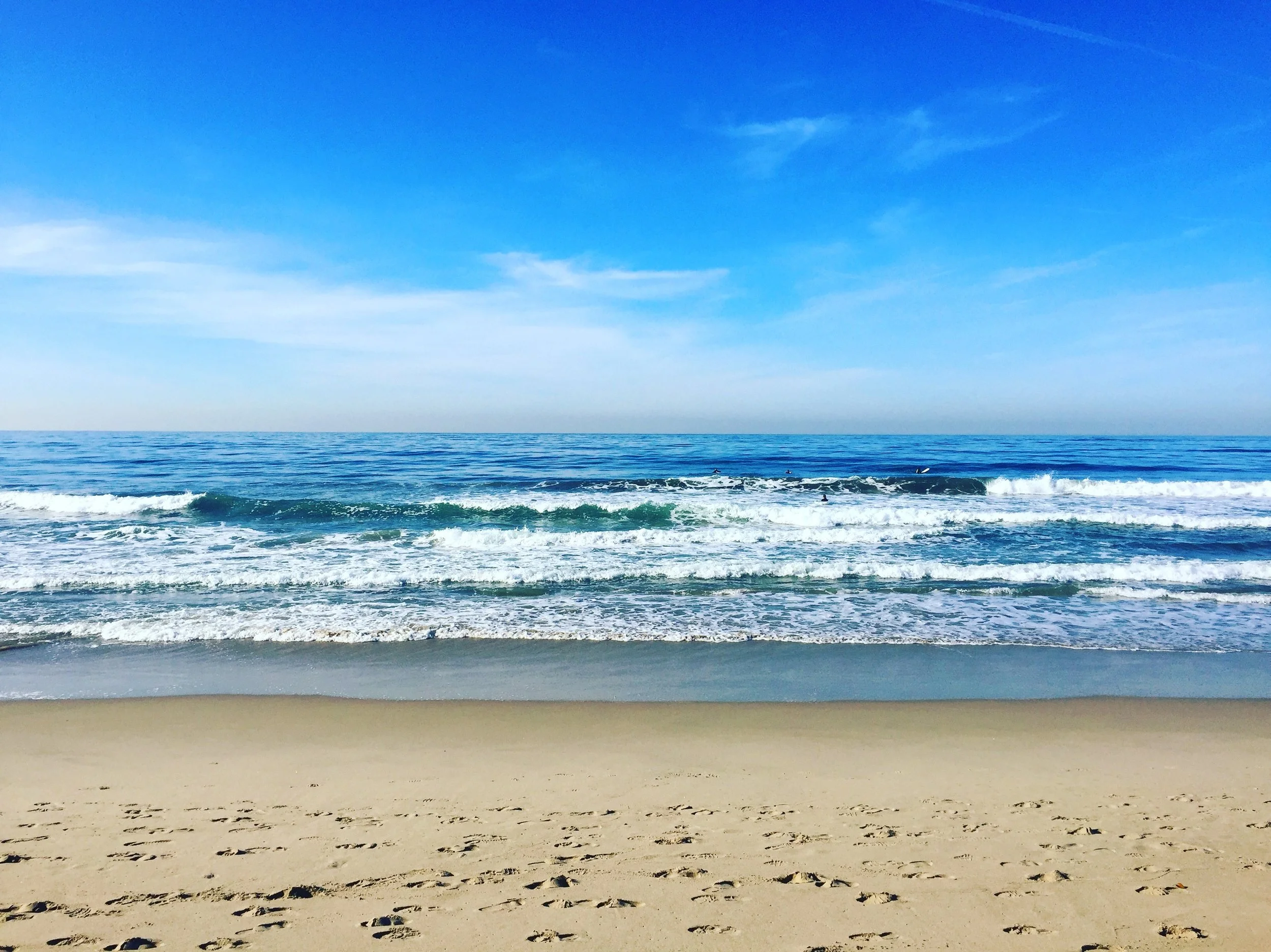 venicebeach.JPG