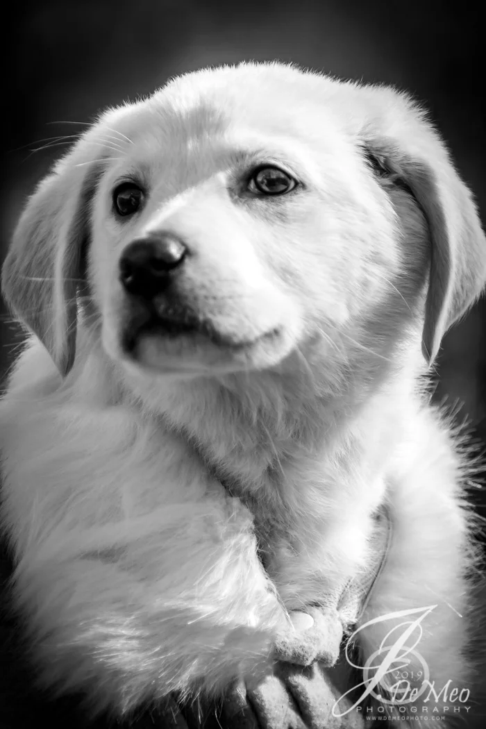 20190203-JDP_1608-2 - Copy.jpg