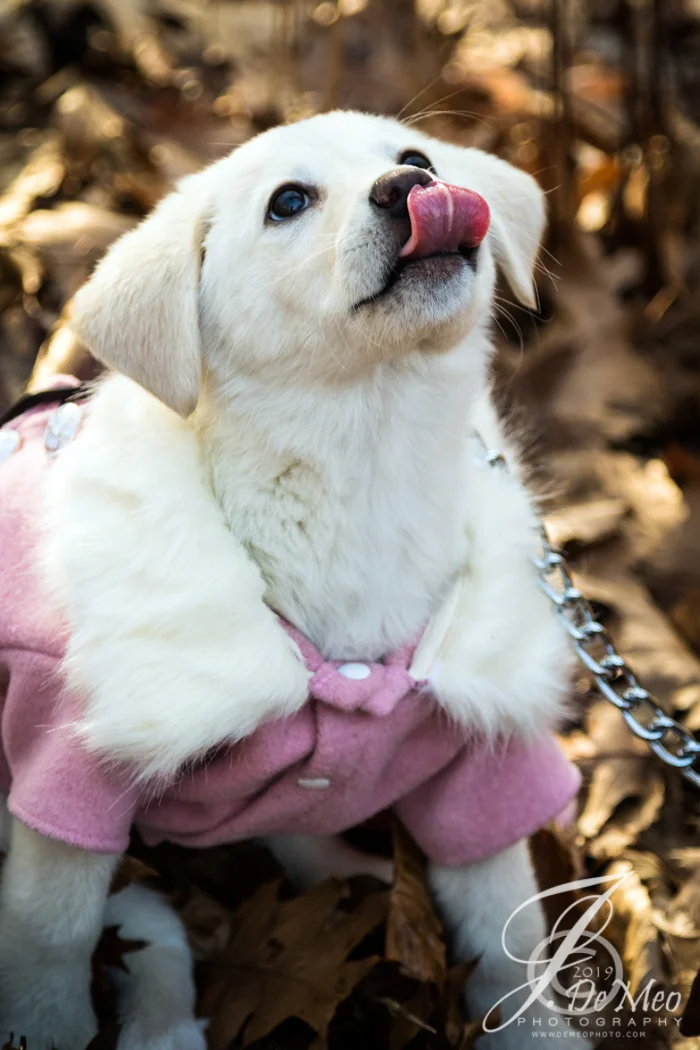 20190203-JDP_1633 - Copy.jpg