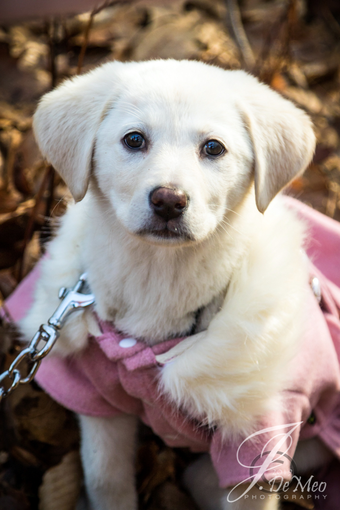 20190203-JDP_1641 - Copy.jpg