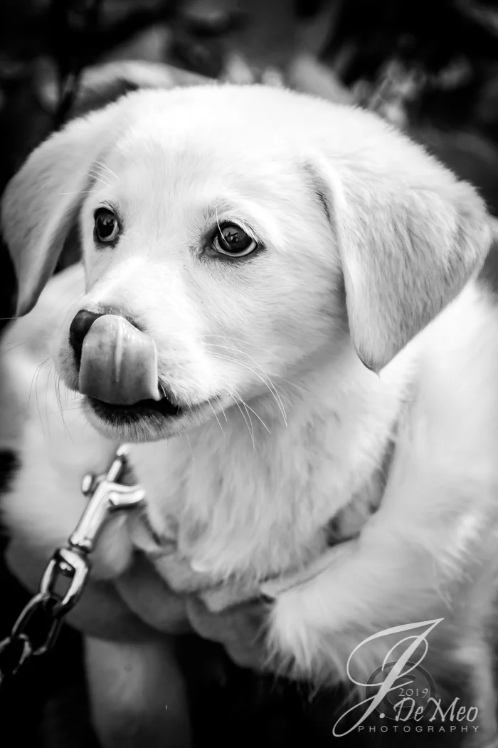 20190203-JDP_1643-2 - Copy.jpg