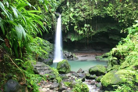 Emerald Pool, Dominica