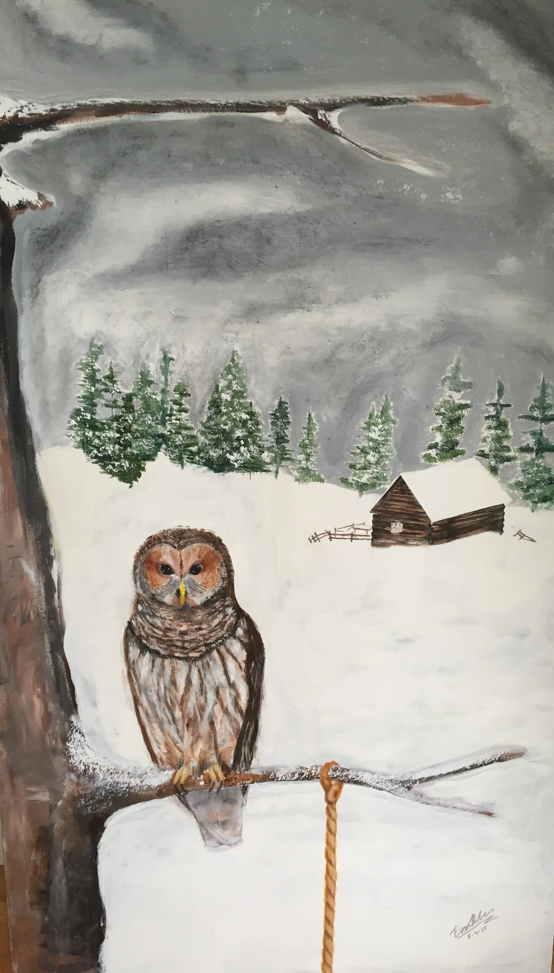 Owl & Tree, 2015