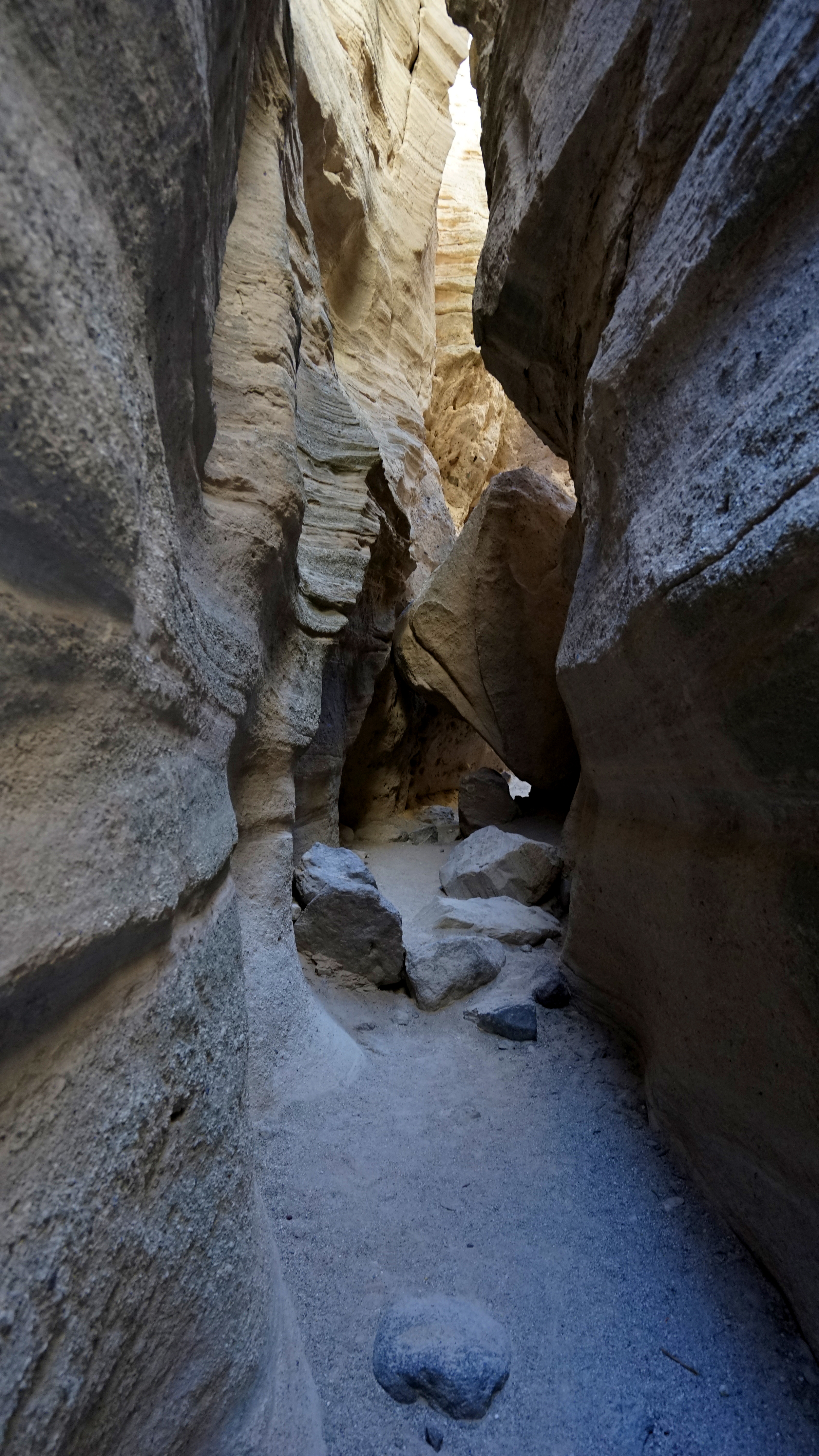 _DSC4802.jpg