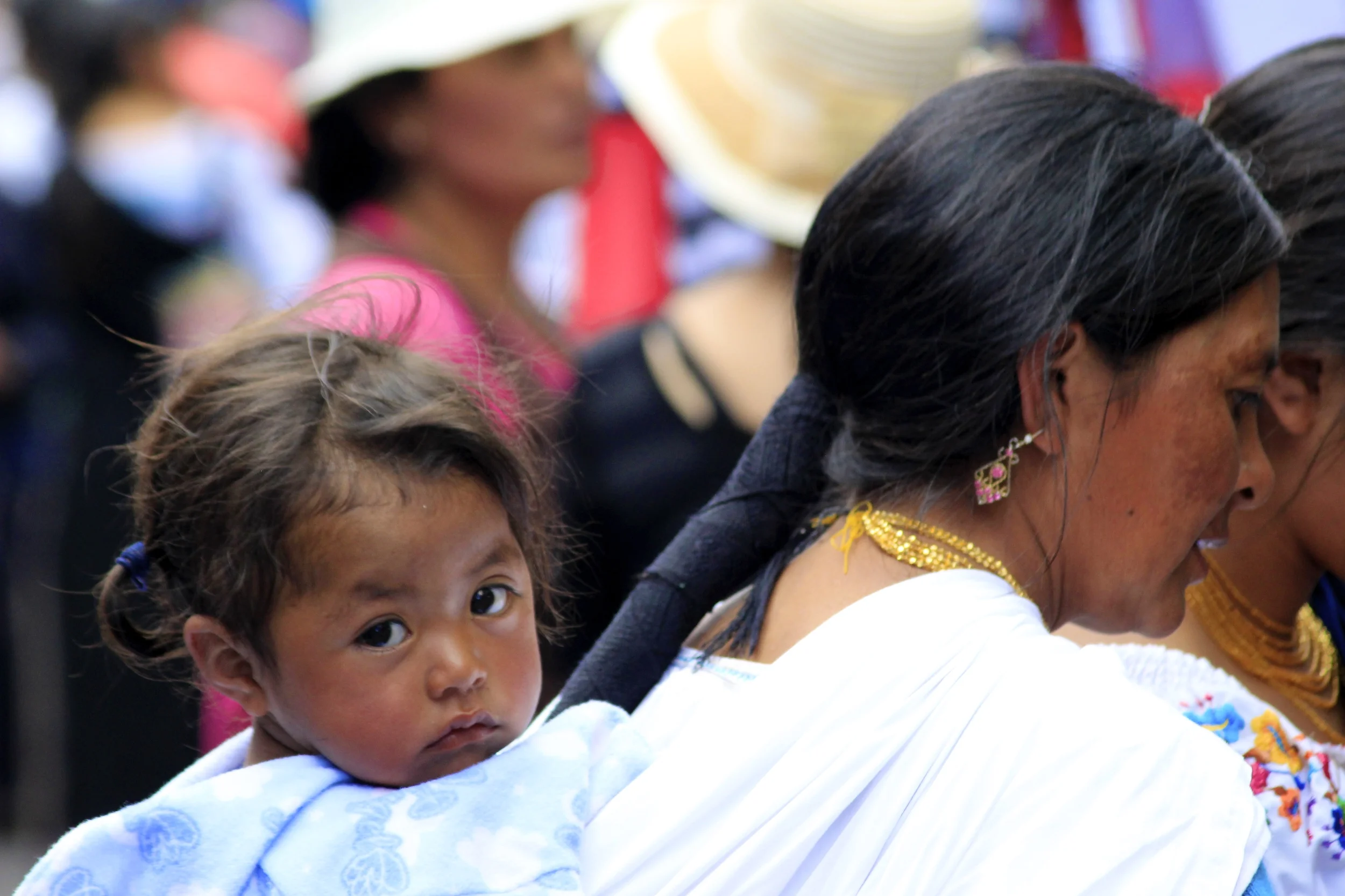 file_5184x3456_056708.jpg