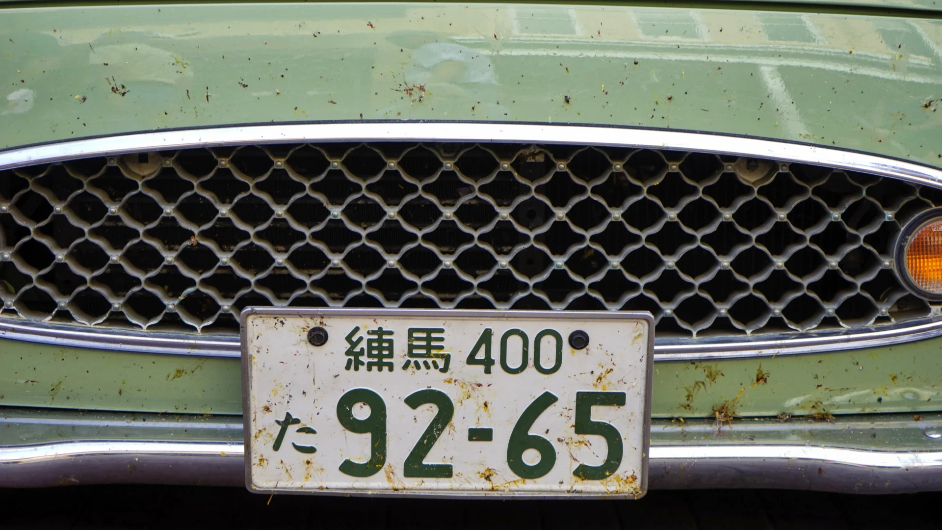 file_1920x1080_185093.jpg