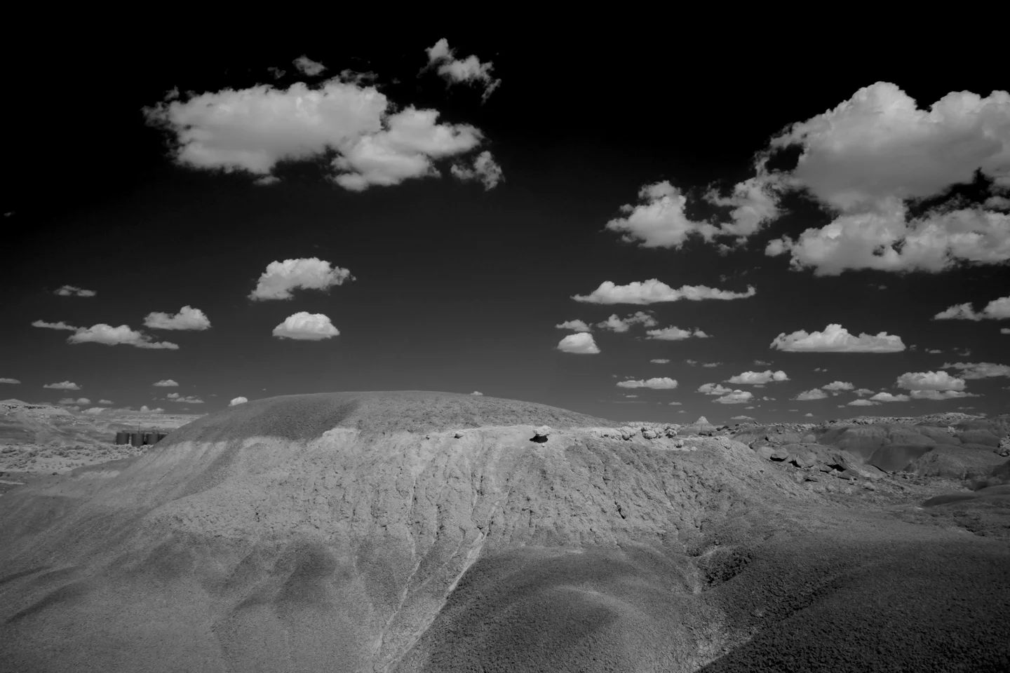 _MG_7726.jpg