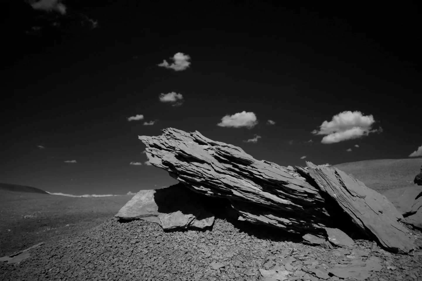 _MG_7777.jpg