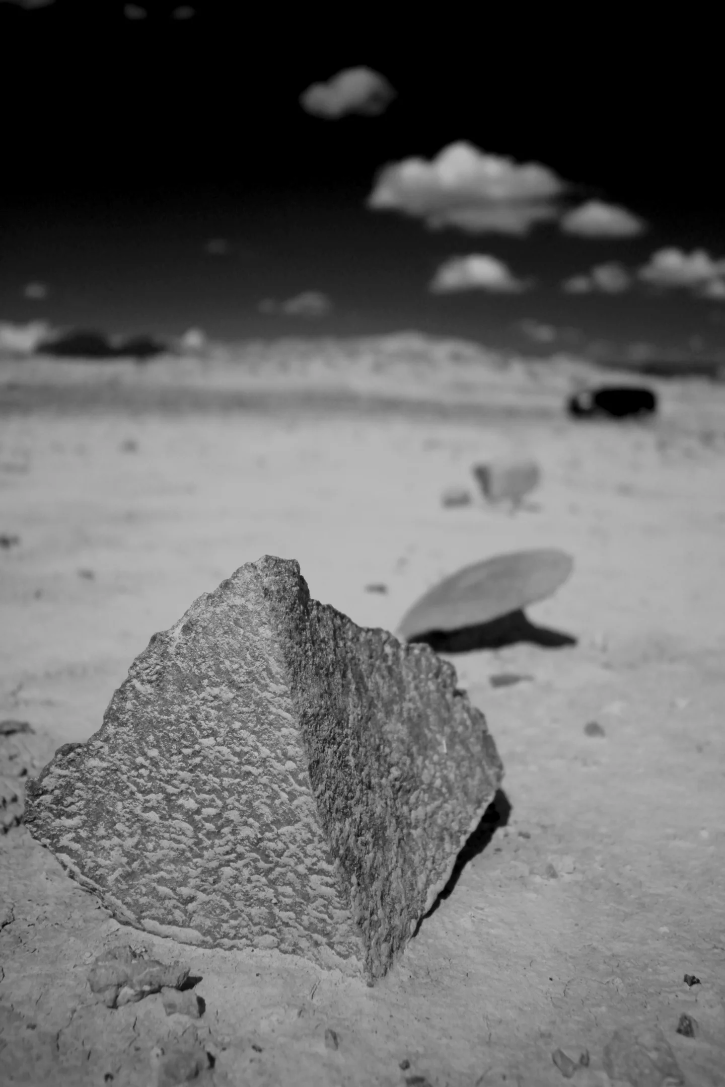 _MG_7862.jpg
