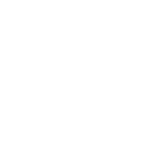 videography.png