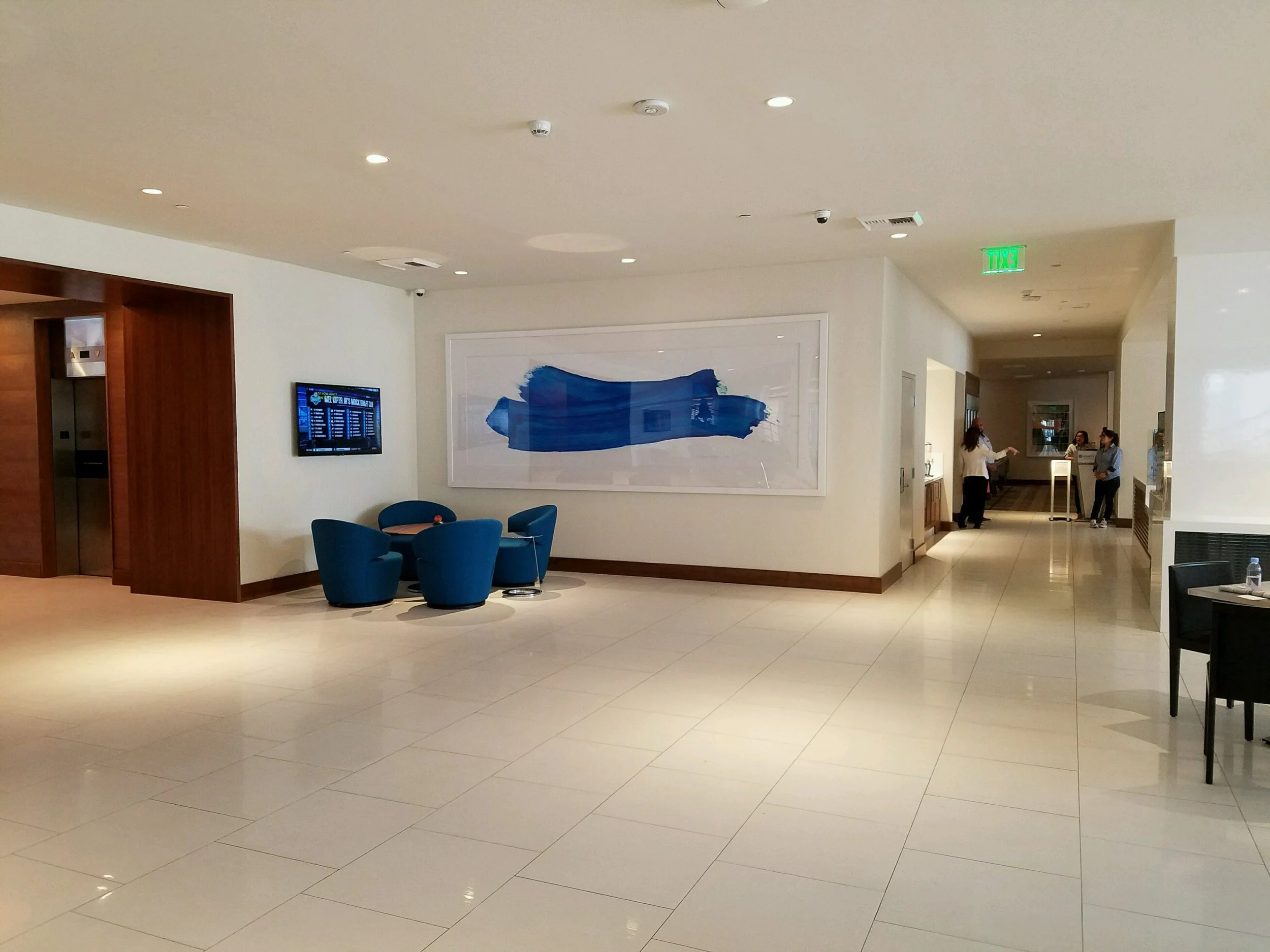 Páala, 2017 (polymer and pigment on paper). Dimensions inside matt: 50Hx150W. Commissioned by the Hyatt LAX, Los Angeles. Installed 2017. Thanks to Kathryn Markel Fine Arts.