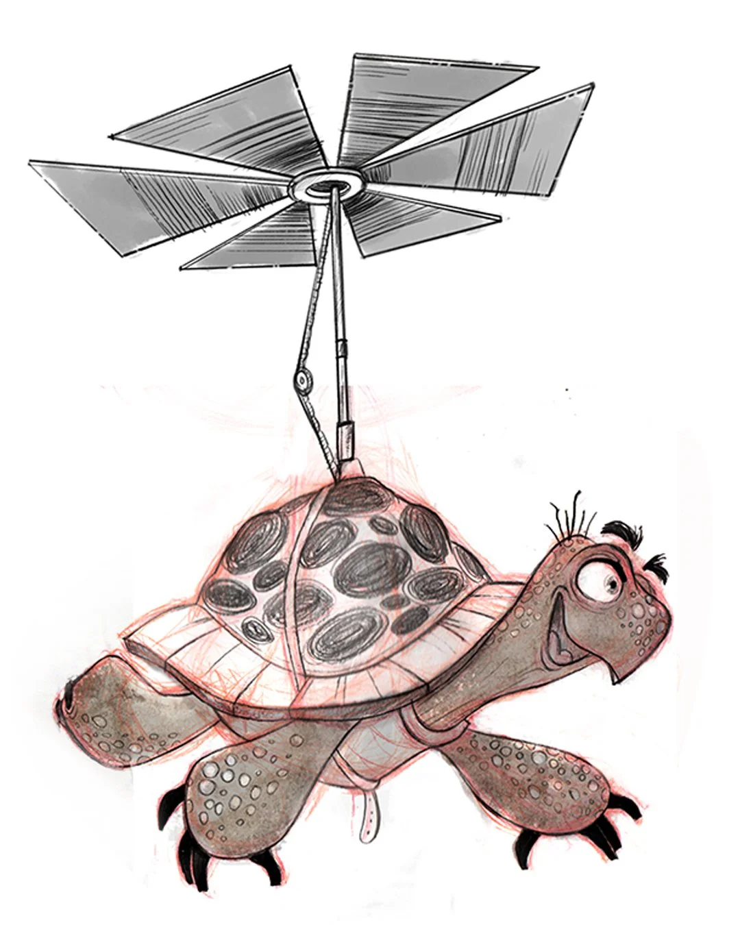 turt2.jpg