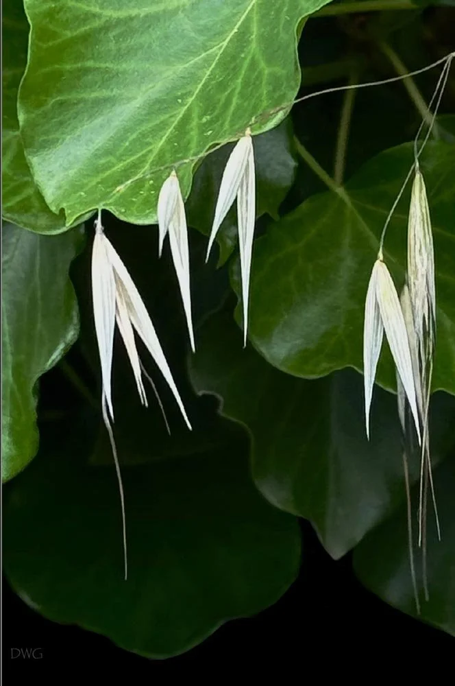 056 green white Vertical.jpg