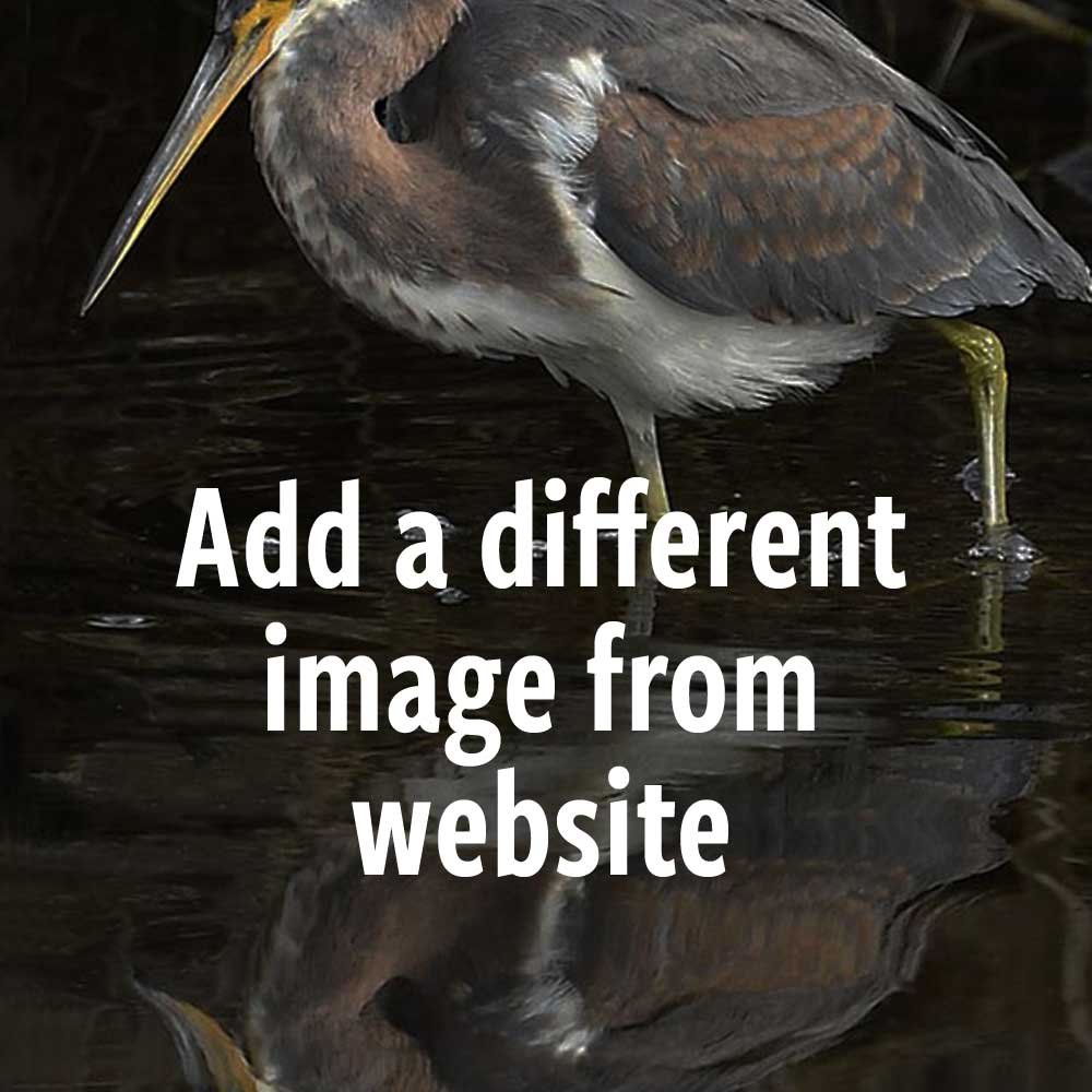 DWG-different-image.jpg