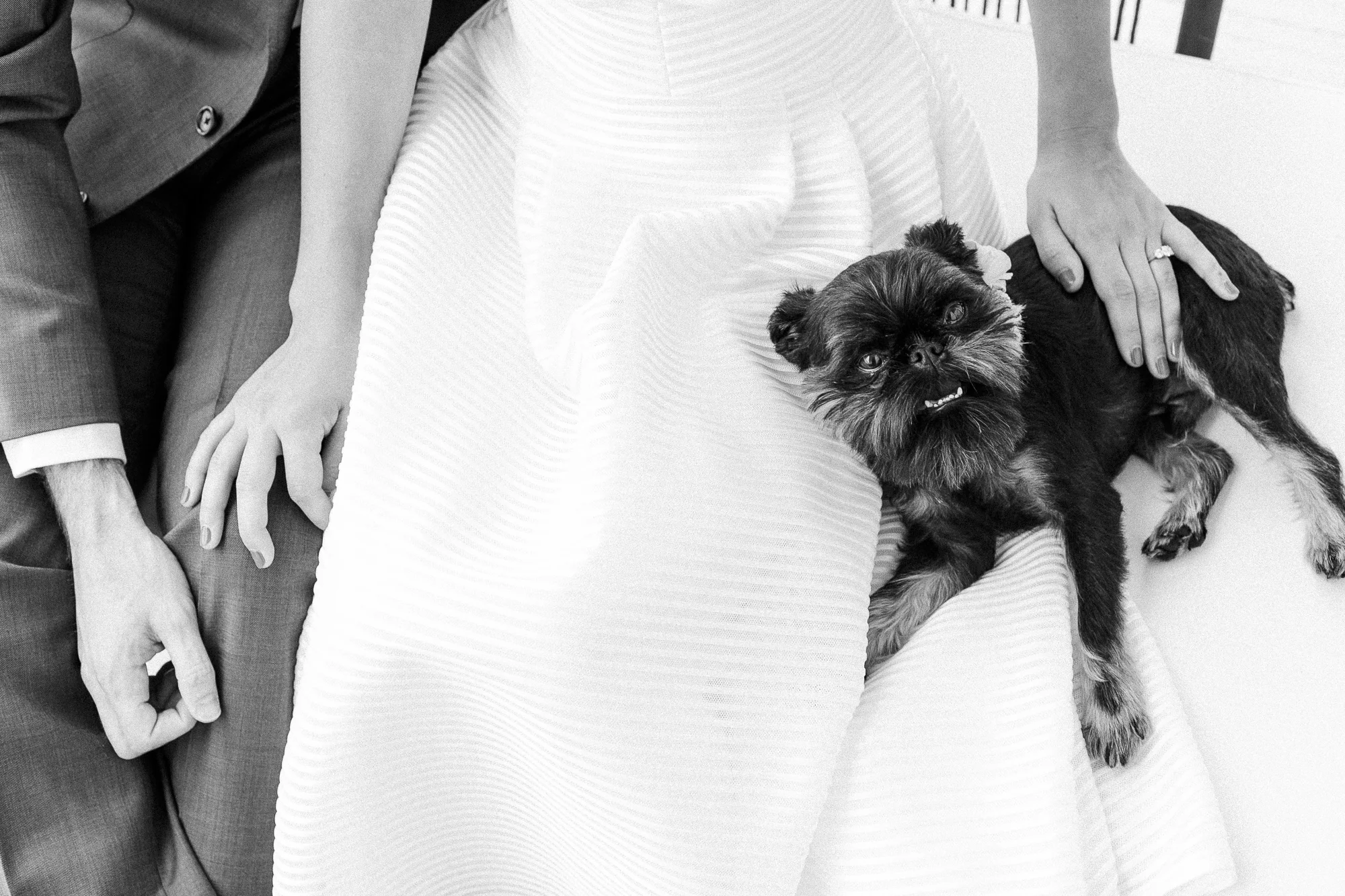 brooklynwedding-elenanatashaphoto-7894.jpg
