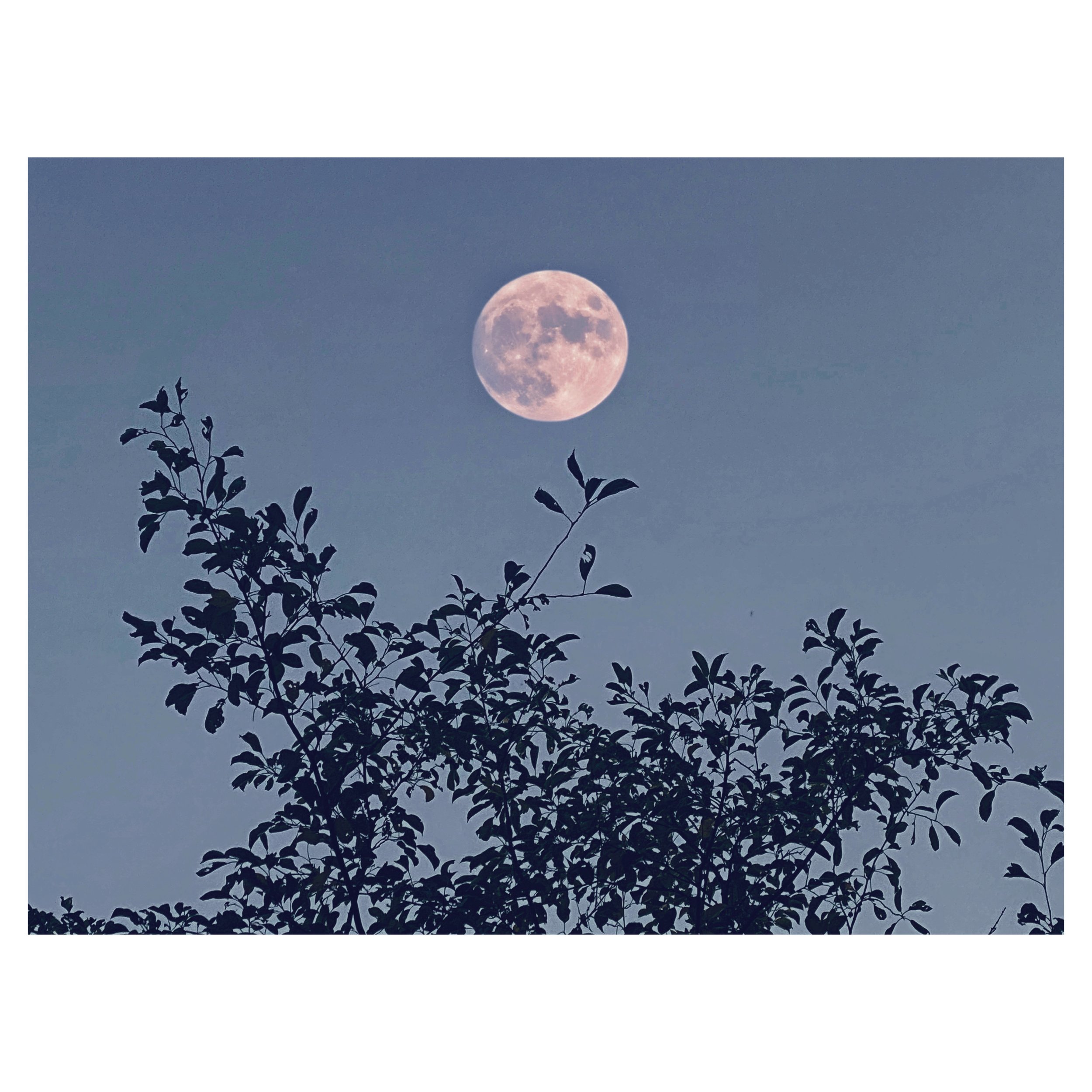 AfterlightImage 4.JPG