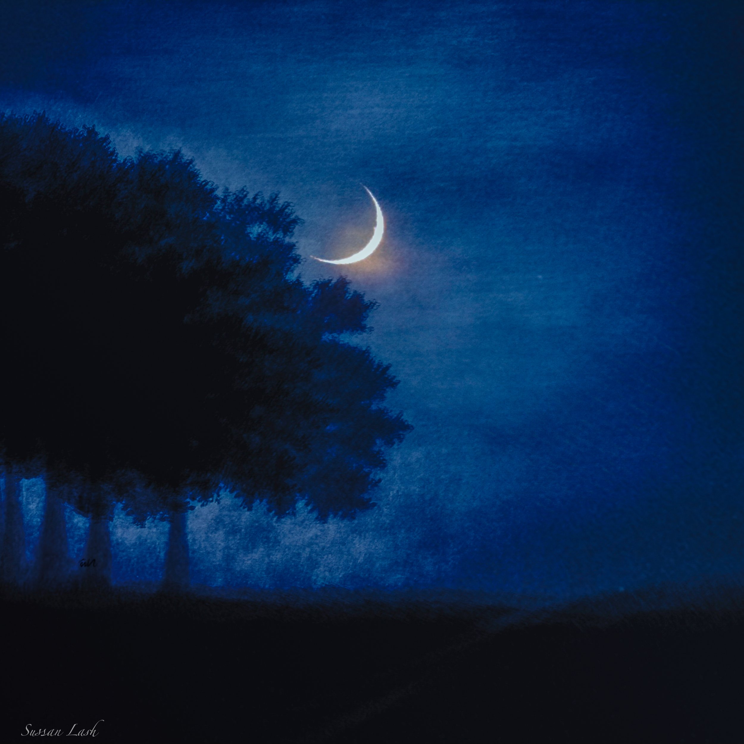 gallery_blue moon sign-4.jpeg