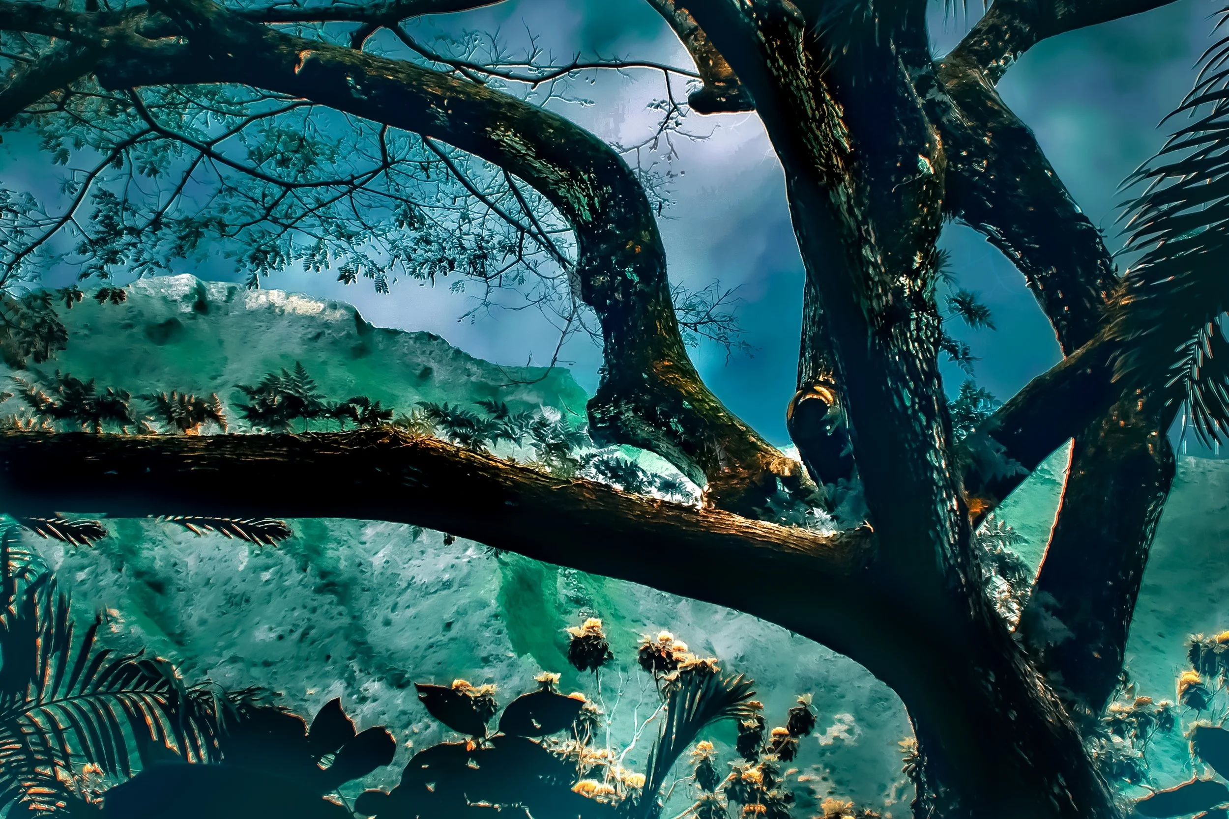 Tropical Tree revised 2.jpg