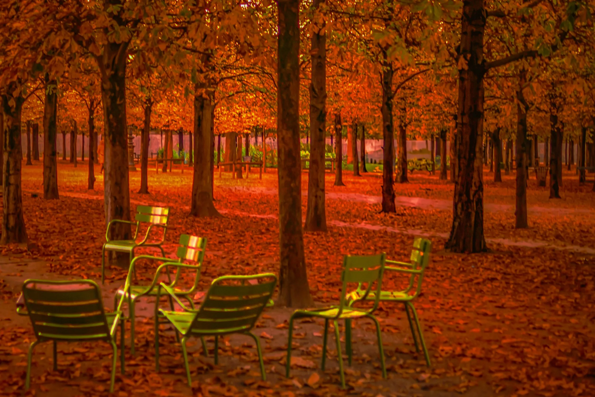 gallery_BCC_entry 4 Autumn in Paris.jpg