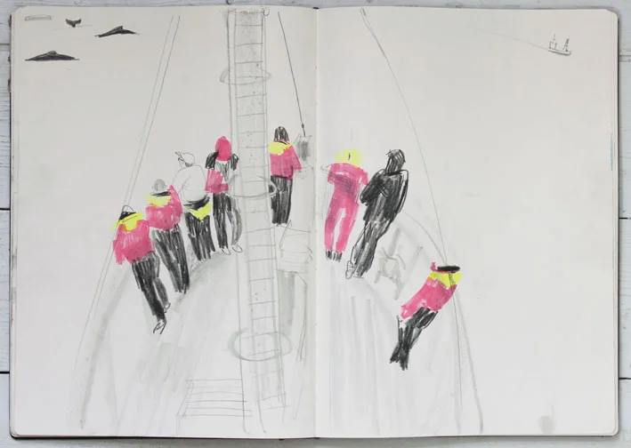 Gerry Turley Húsavík Drawing humpback whales from the boat