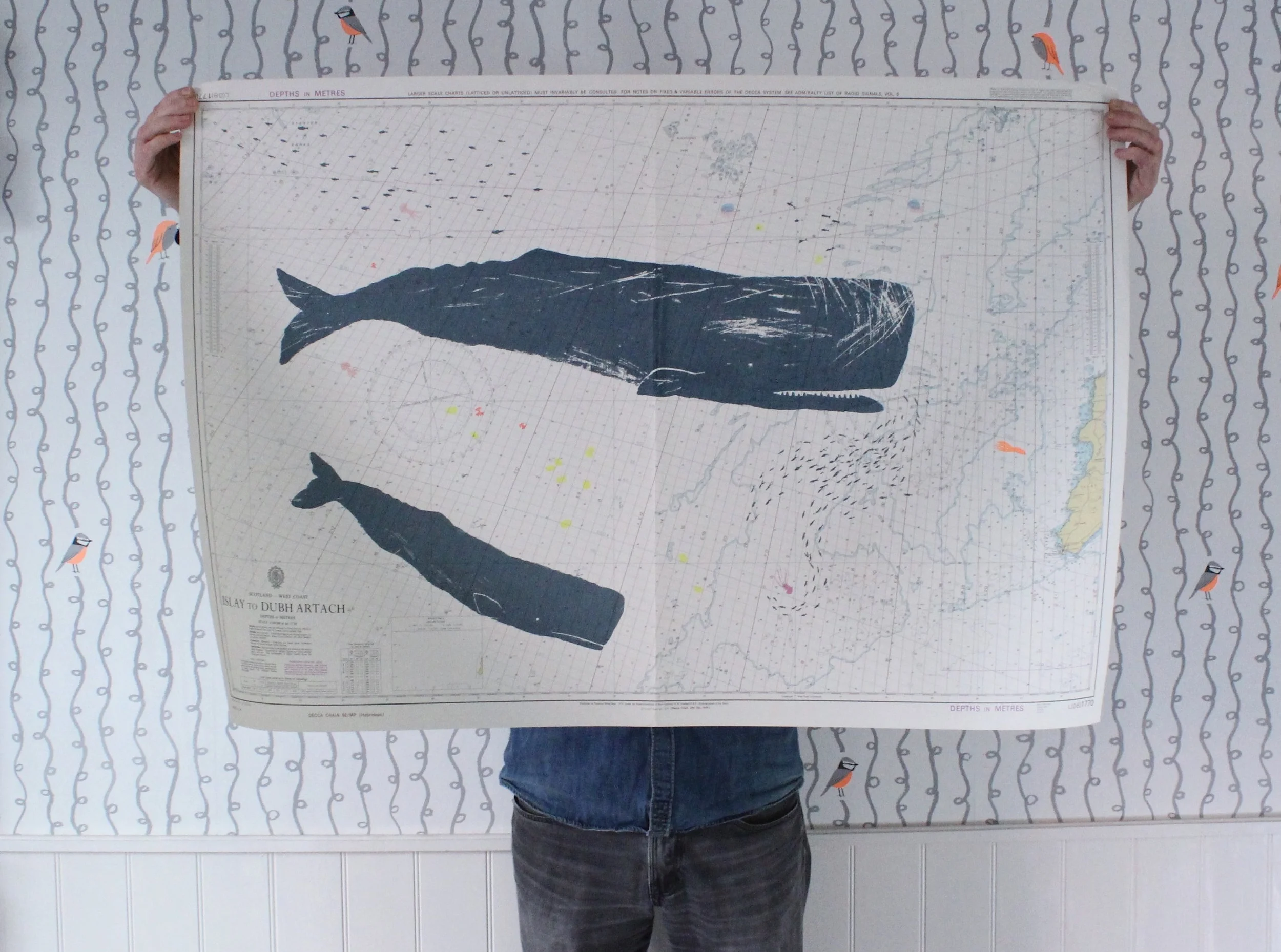 This is one of Gerry's previous spermwhale screen prints. The next edition will be a humpback whale.