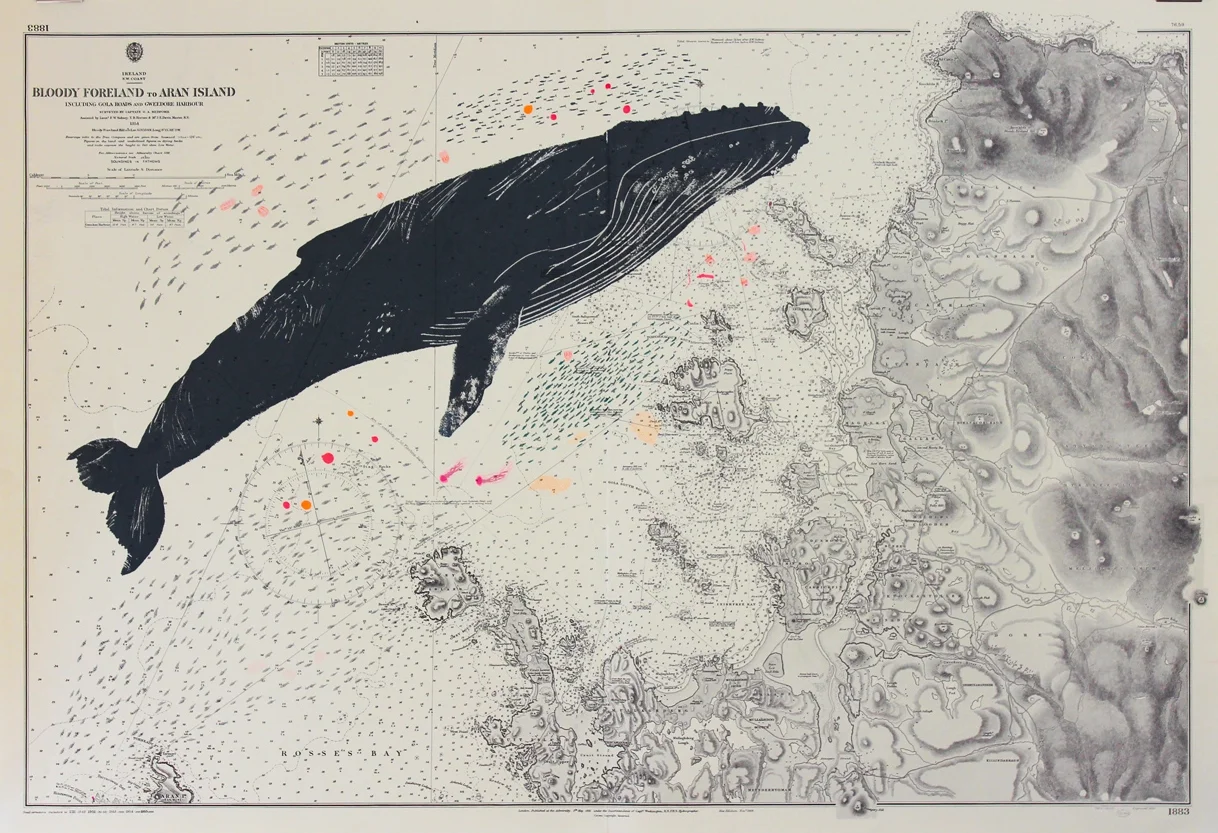 Whale Screen print by Gerry Turley